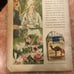 TRUE STORY VINTAGE MAGAZINE MARY AND BOB