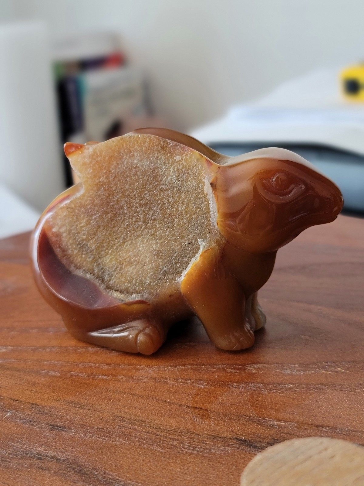 Druzy Carnelian Bunny