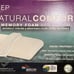 Natural Comfort Memory Foam Bed Pillow