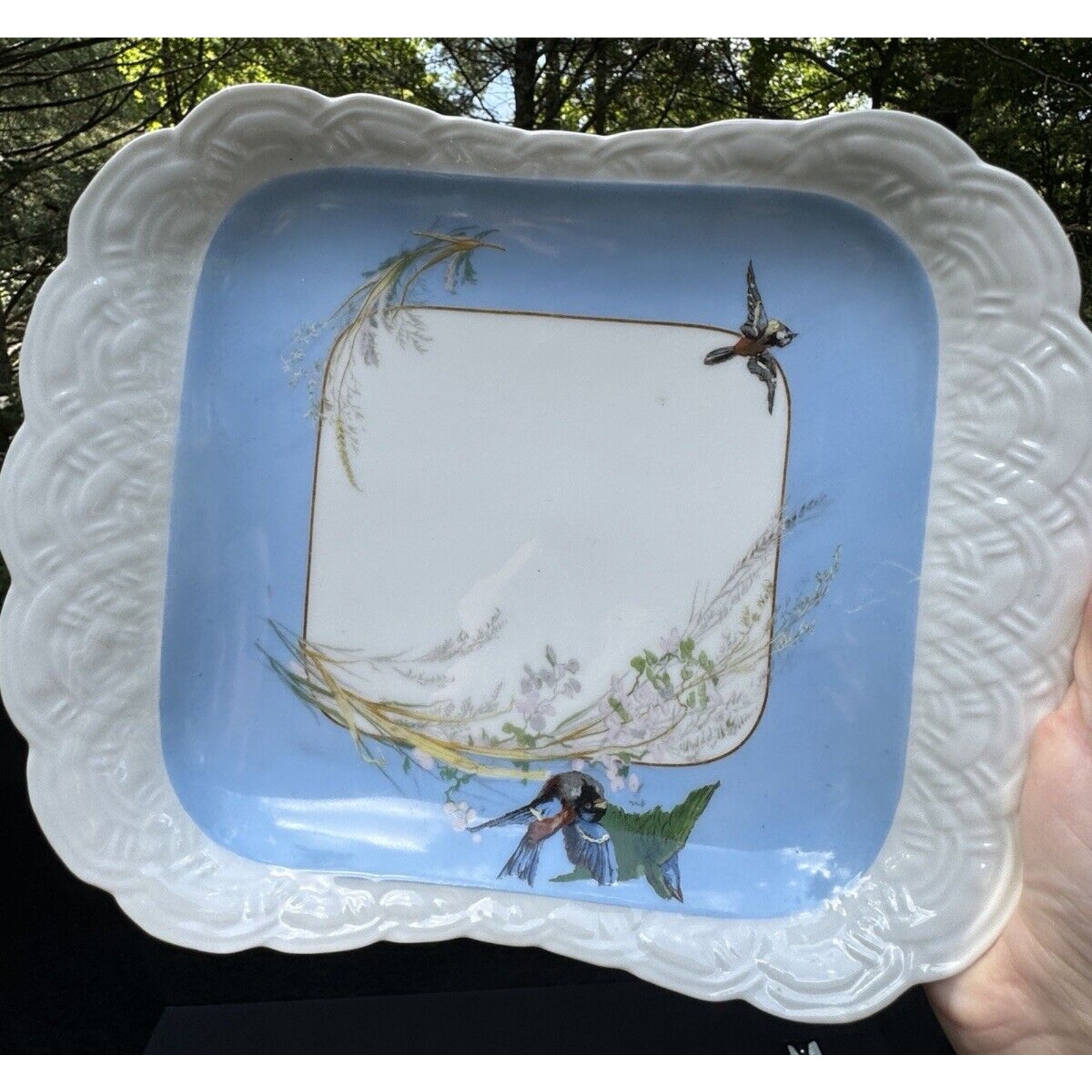 Antique HAVILAND LIMOGES Porcelain Meadow Visitors Baby Blue White Deep Platter