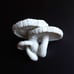 Gazzaladra Wall Shelf Edodes Fungus for Party, Living Room, Bedroom