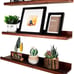 Annecy Floating Shelves Wall Mounted Set of 3, 24 Inch Dark Walnut Solid Ledge S