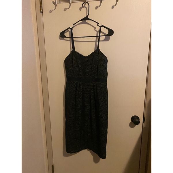 Lafayette 148 New York Dress shops size 4