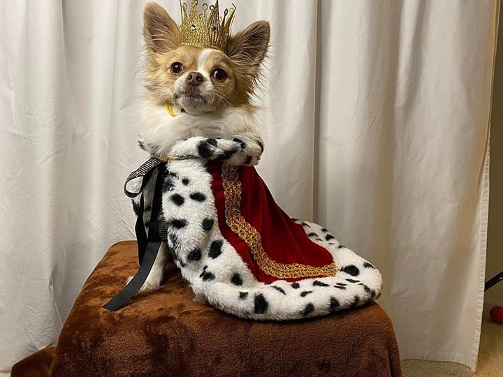 pet Serial Lux Fur Red Cat Dog Cloak for Halloween Costumes, King Queen Prince