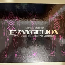 Neon Genesis Evangelion TV Animation Production Art Collection