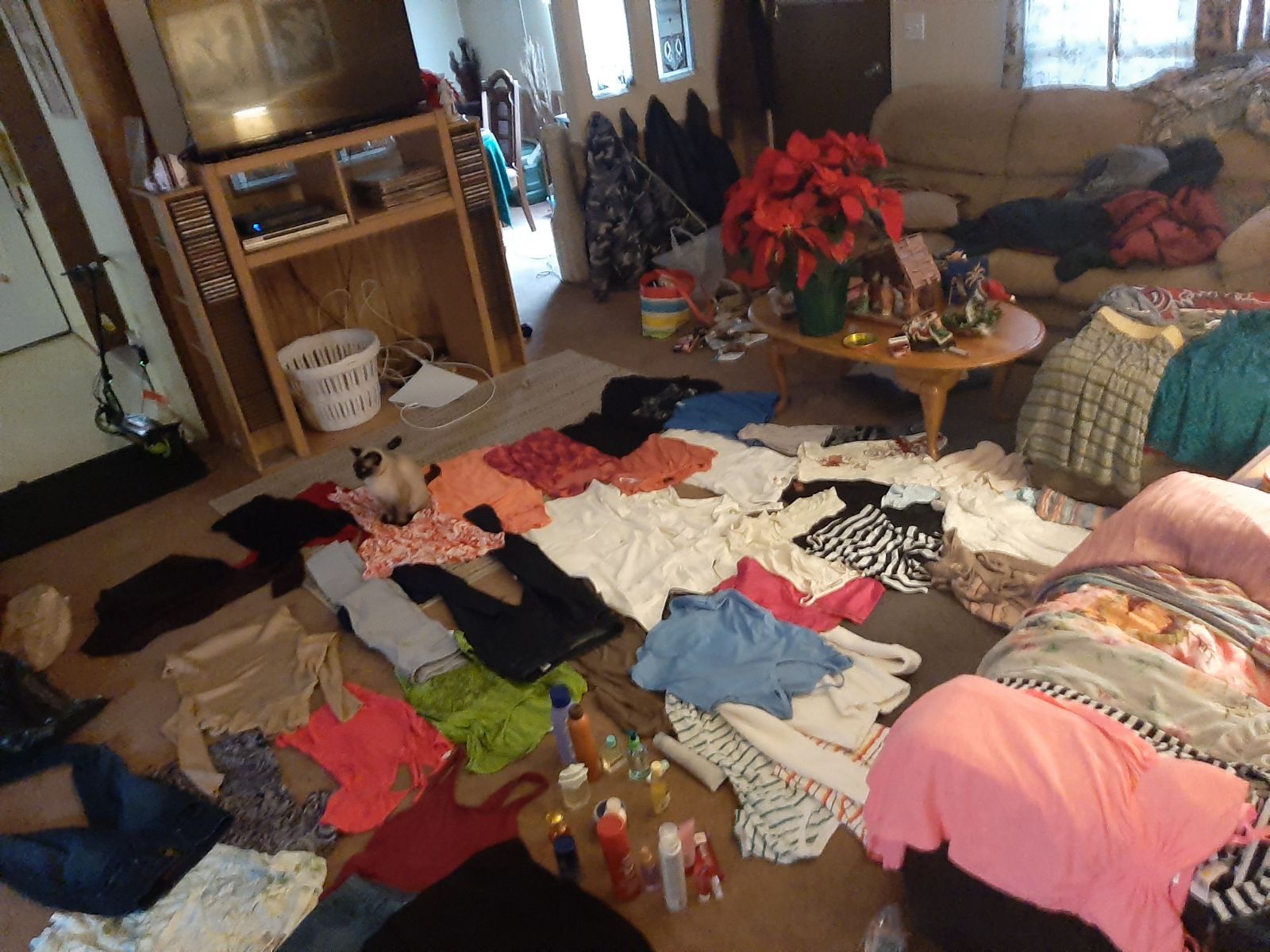 HUGE BUNDLE LADIES SM/M CLOTHES BUNDLE