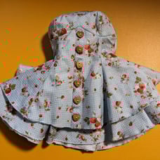 [Doll heart] strawberry prints skirt for DDDY (Used)