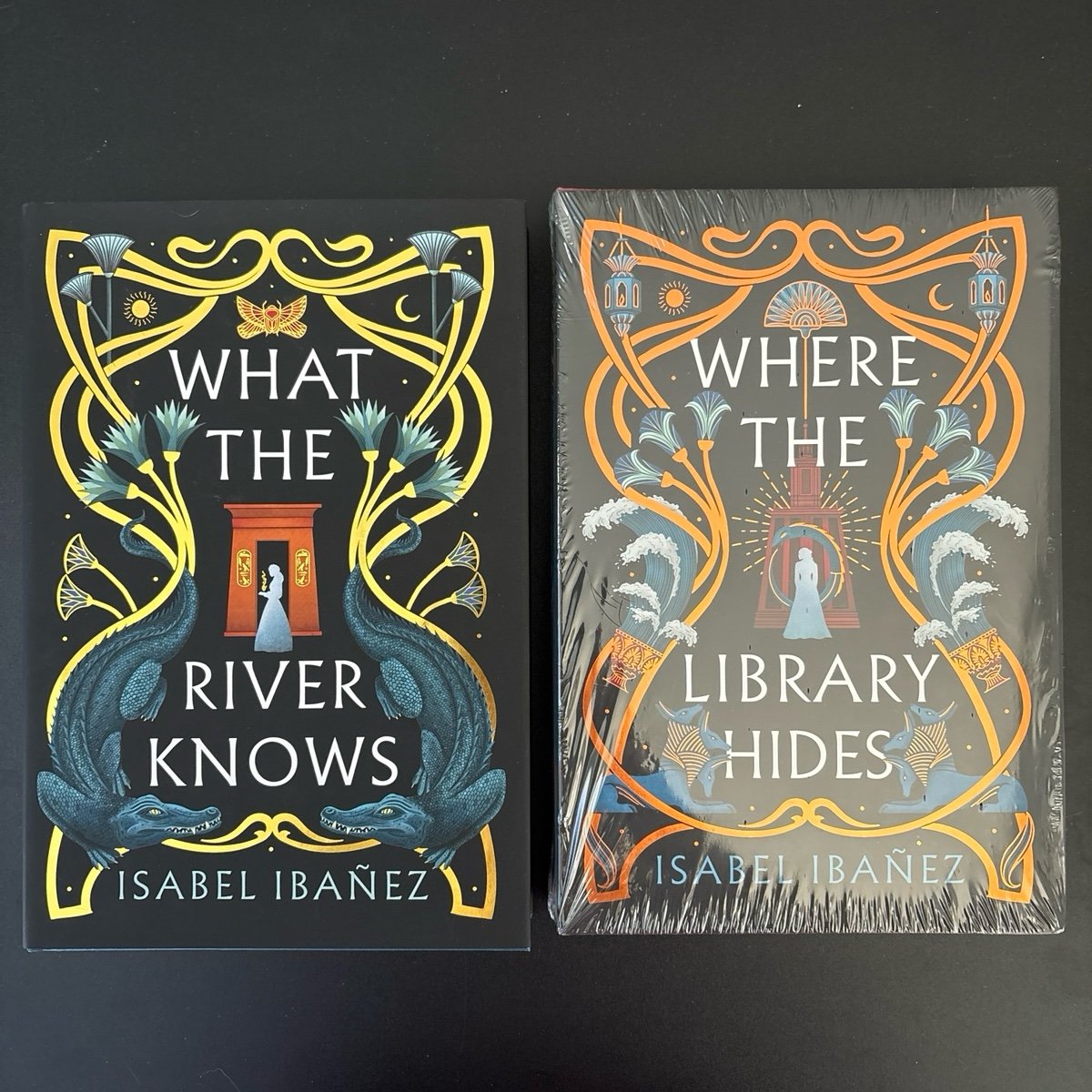 Owlcrate What the River Knows and Where the Library Hides by Isabel Ibanez