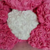 Rose Bear