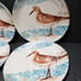 Set Of 4 PIER 1 IMPORTS **Sandpiper Bird** Salad Plates