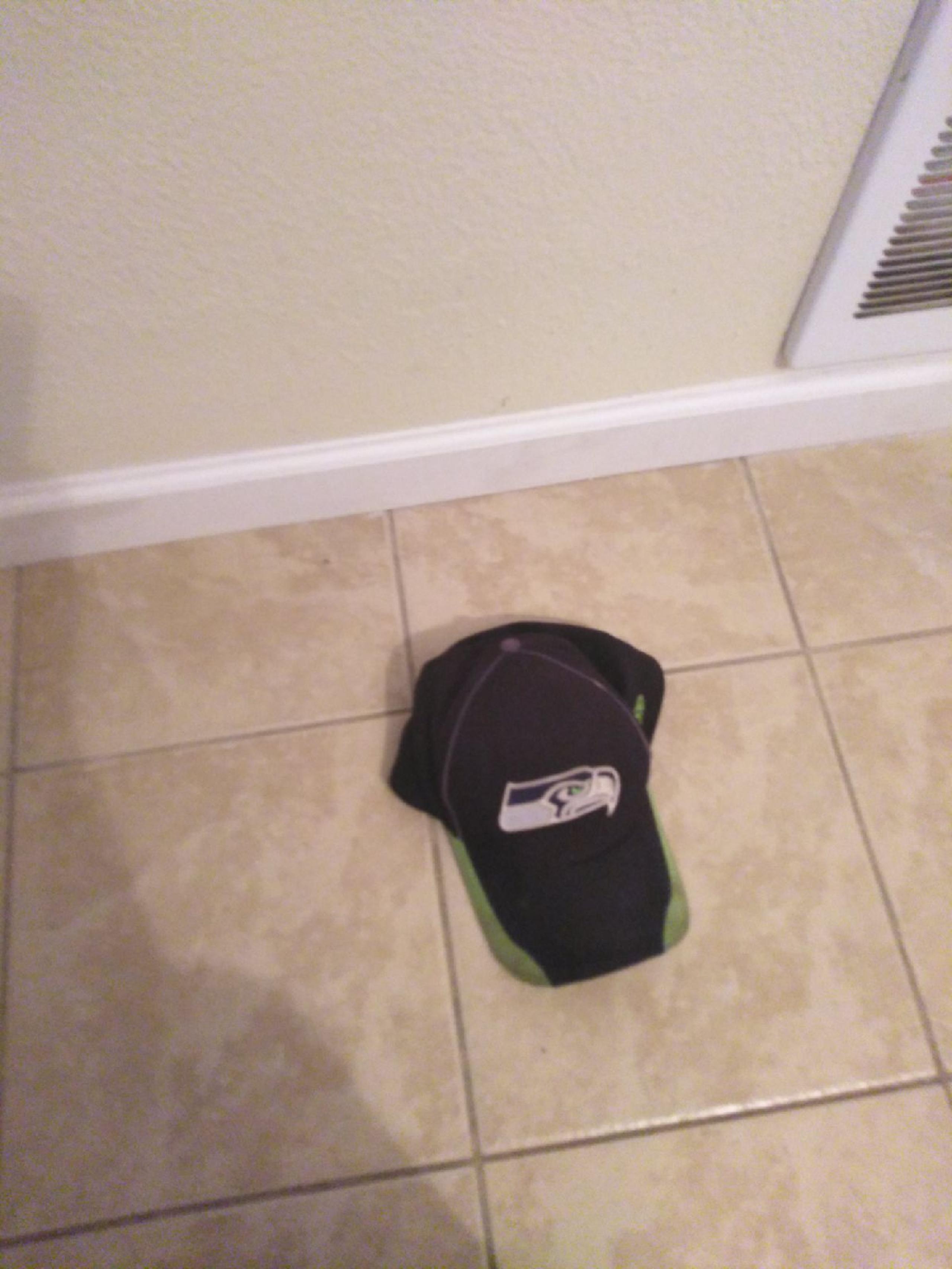 SEAHAWKS hat