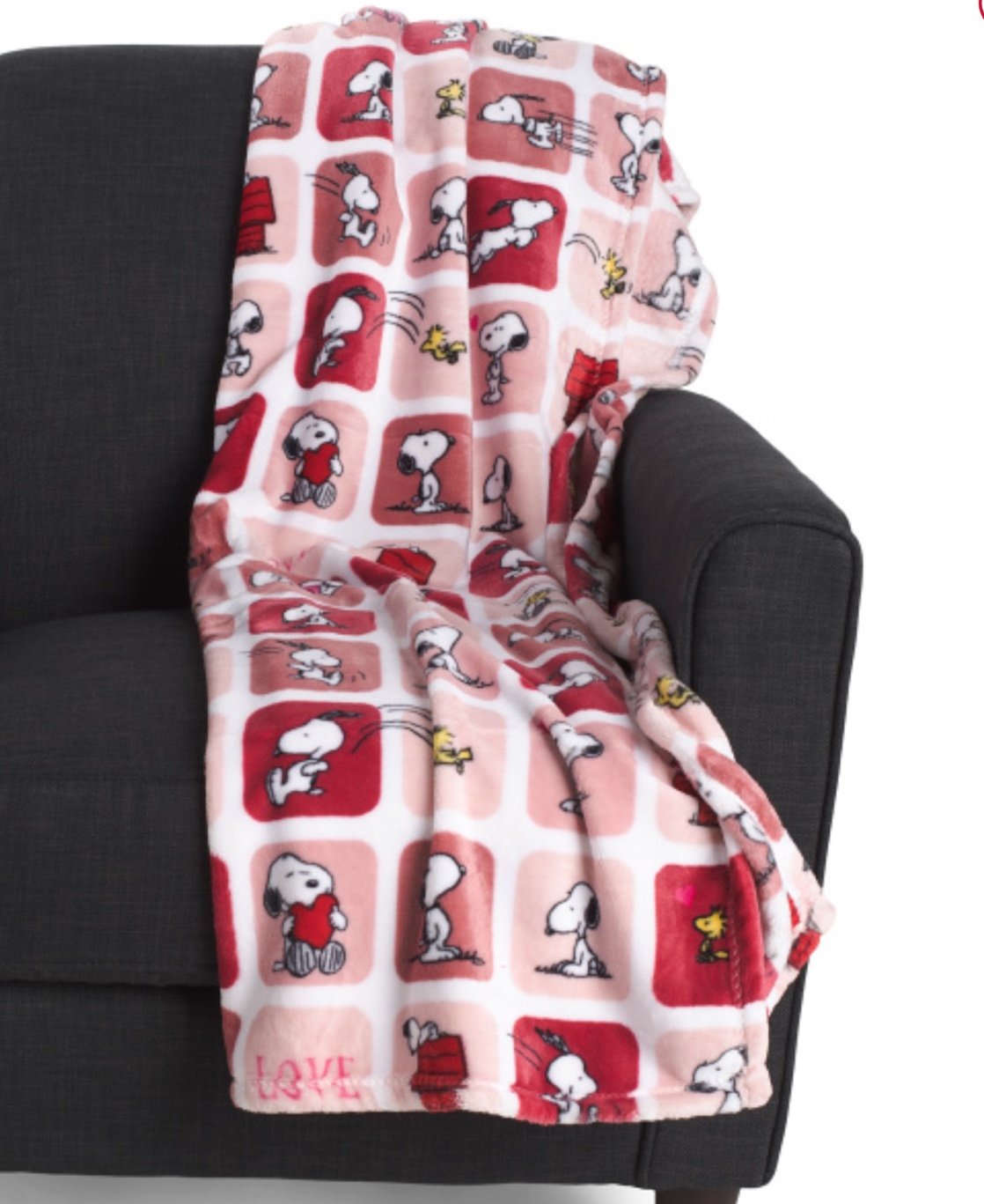 ❤️❤️Peanuts: Snoopy Valentine’s Day boxes Throw