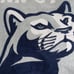 Penn State Nittany Lions Vintage Throw Blanket