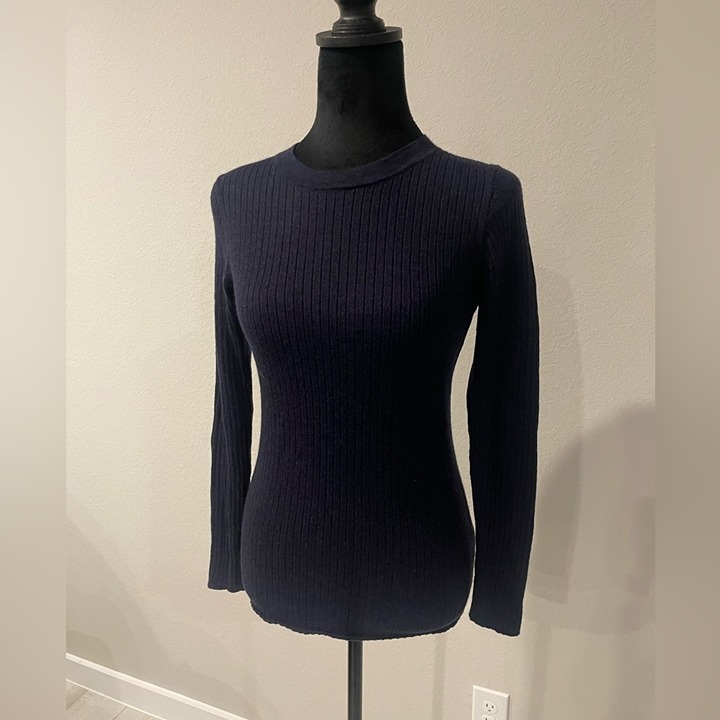 Everlane 100% wool fitted sweater top L