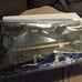 Pitney Bowes DM1000 Part DW90202ABA-E Main Board