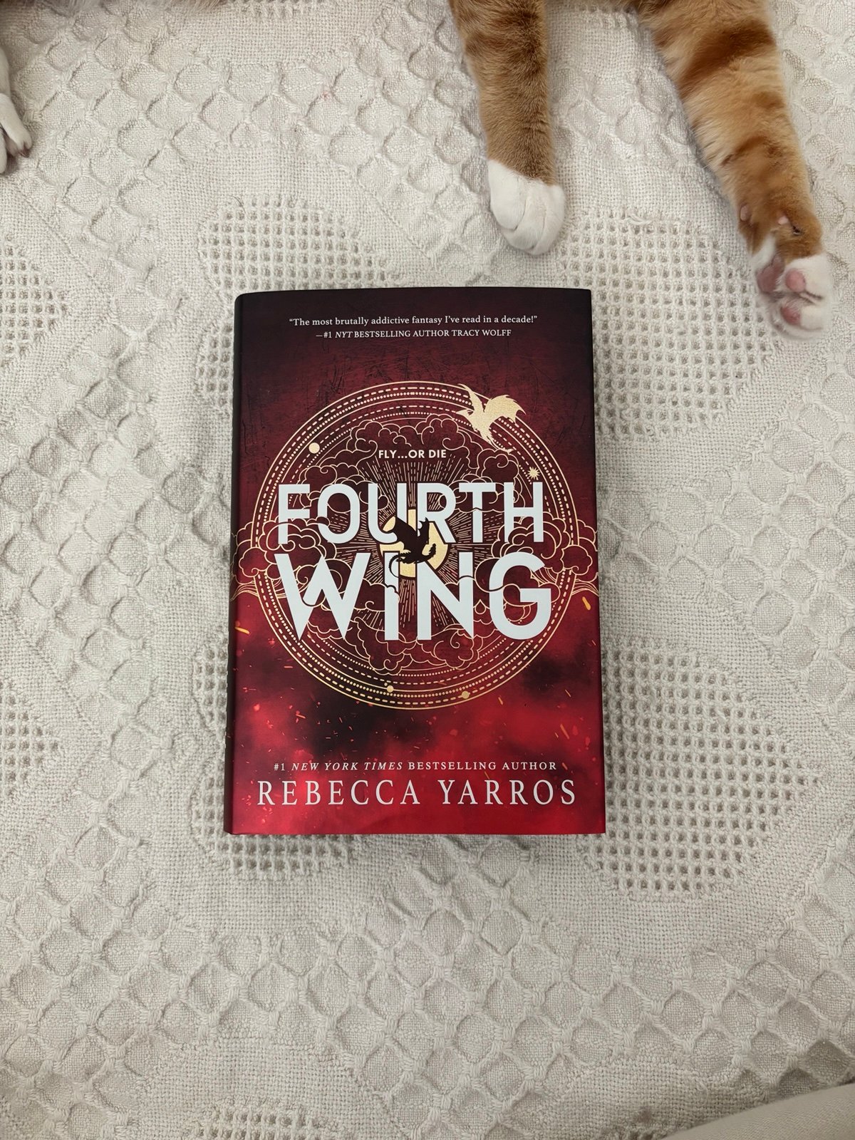 Fourth Wing Holiday Edition