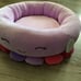 New Original Squishmallow Dog/Cat Pet Bed 24 inch Octopus