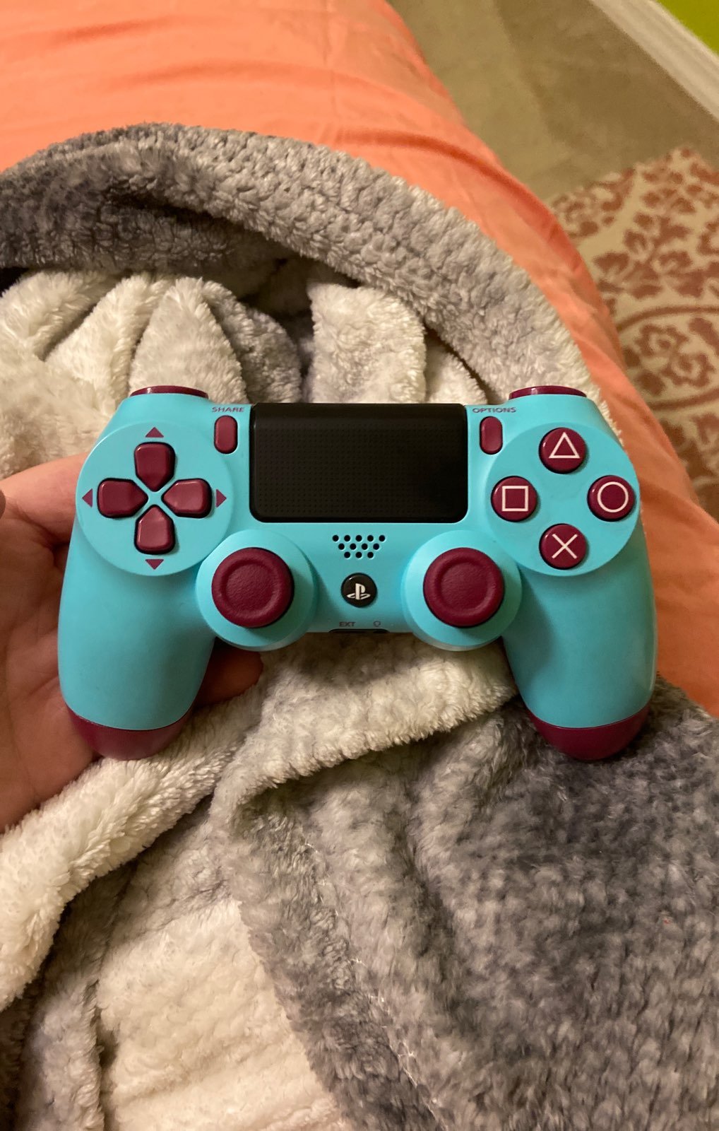 PS4 Controller