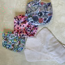 Mama koala cloth diaper succulent poppy birds print