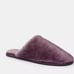 Coach Zennie Slipper In Signature Shearling