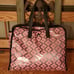 Kate Spade Pink & Black Morley Large Tote Bag