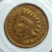 Amazing 1904 IHP Indian head penny Blazer best I've seen