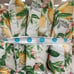 martha stewart 4 lemons outdoor pillows
