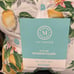 martha stewart 4 lemons outdoor pillows