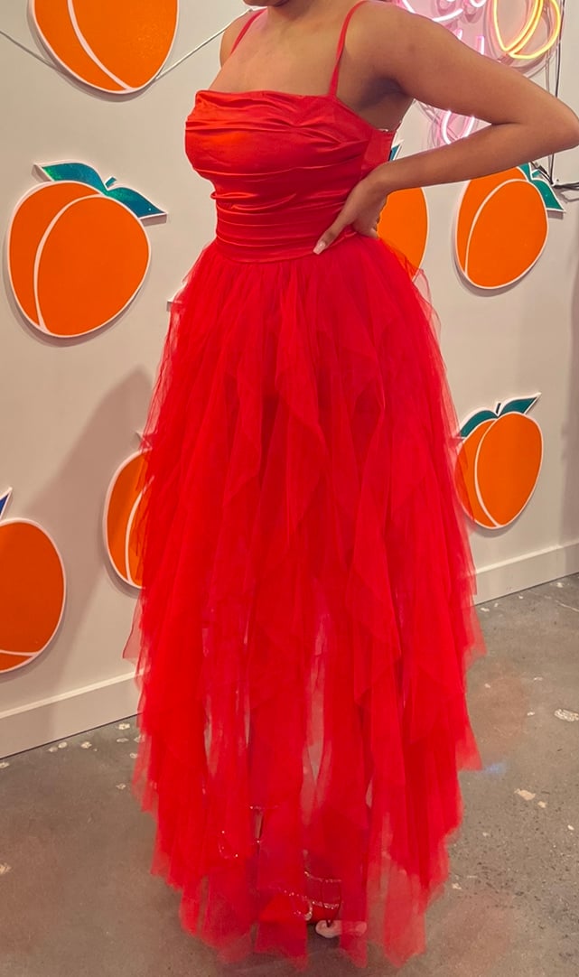 Akira Tulle Dress