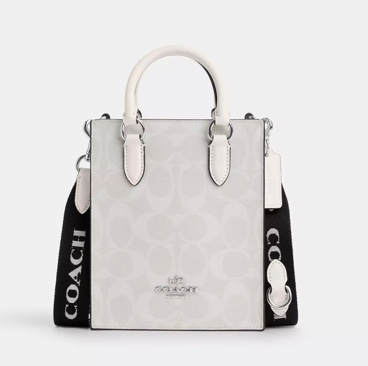 Coach North South Mini Tote