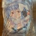 Unopened Wireframe Usada Pekora Yuuhi Hagure Holoket 3-piece set.