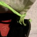CCM RBZ Intruder Limited Edition Hockey Skates. Size 3