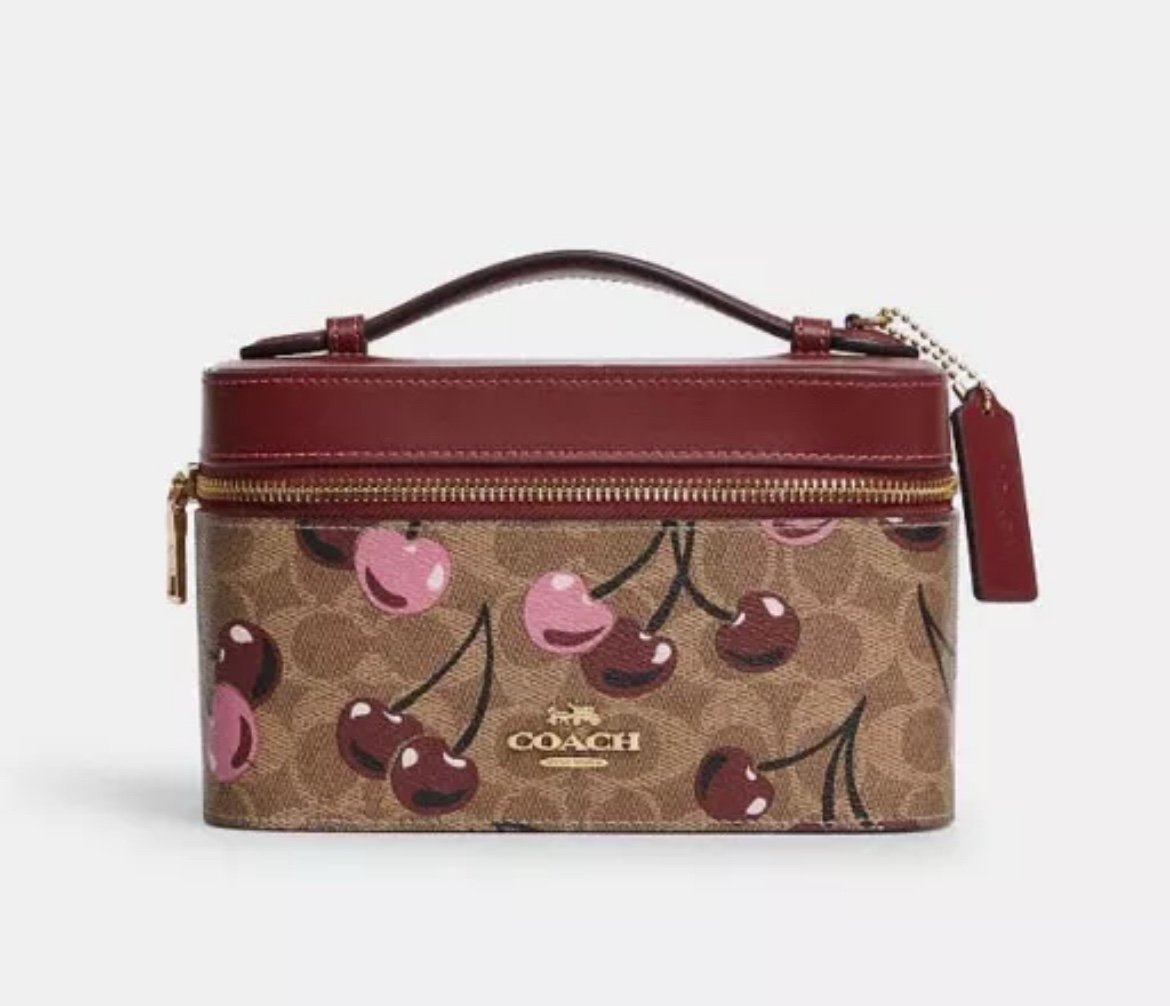 NWT Coach Cosmetic Case In Signature Canvas With Cherry Print CZ025
