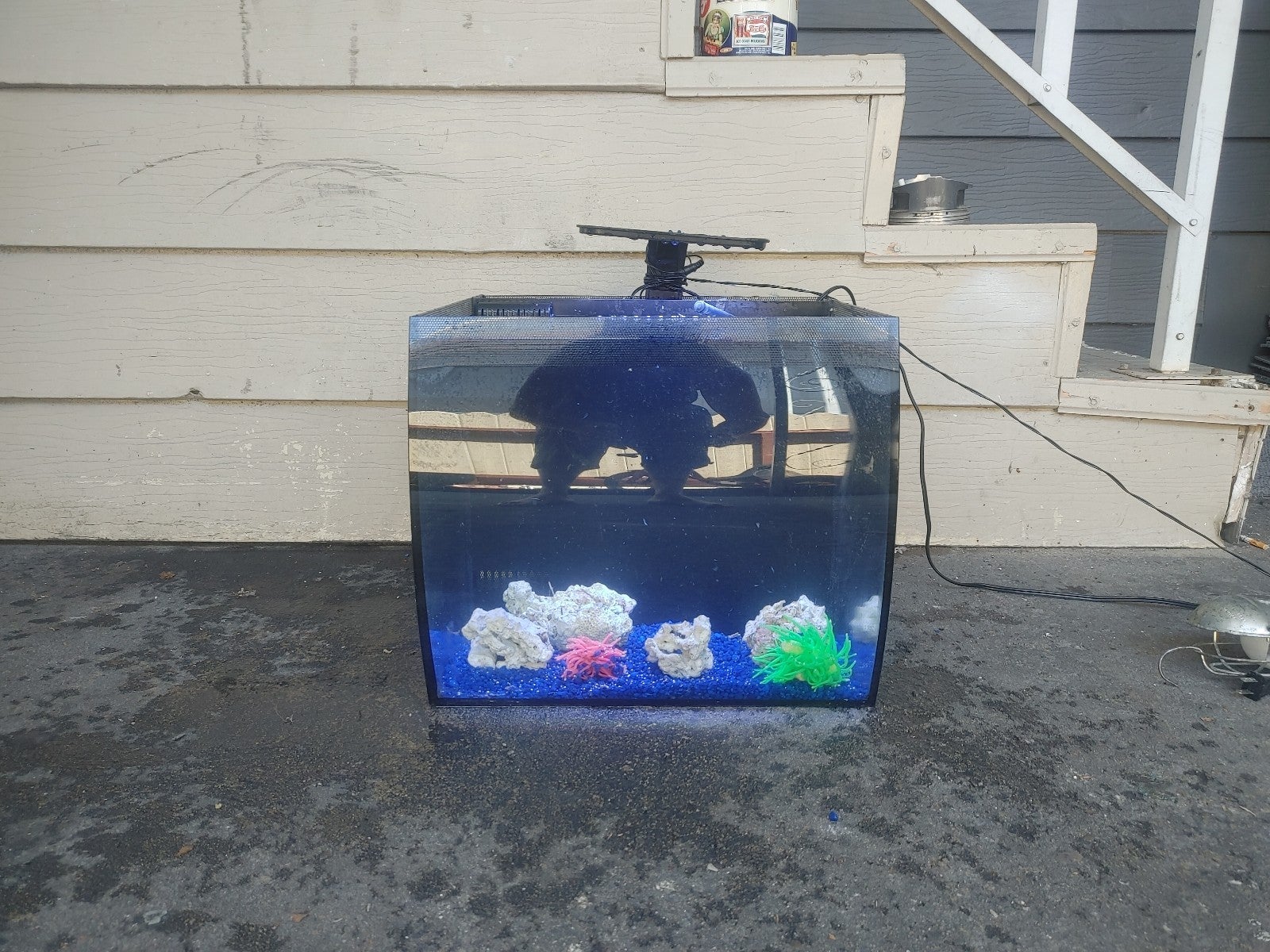 aquarium
