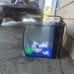 aquarium