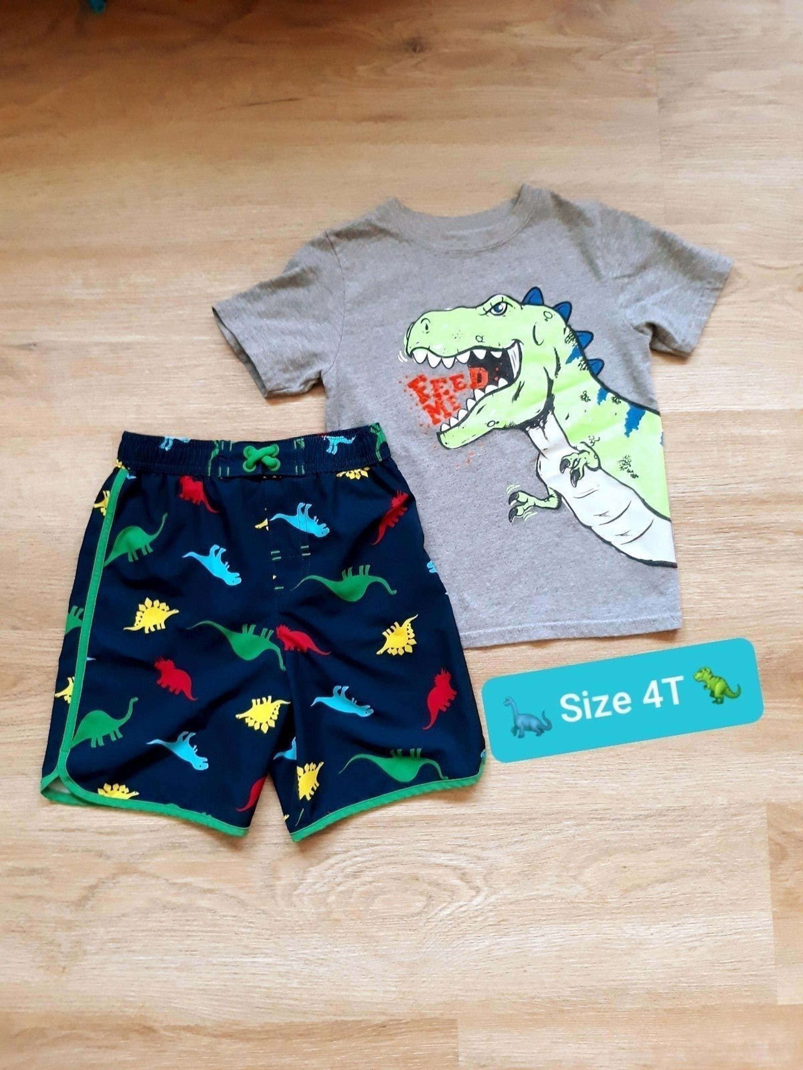 Toddler Beach Outfit: Multicolor Dinosaur Swim Trunks + T-Rex Tee Shirt Size 4T
