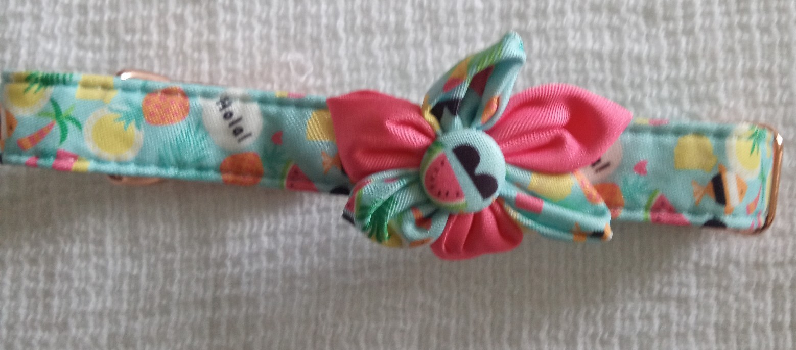 dog collar