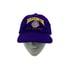 Vintage Washington Huskies 2001 Rose Bowl SnapBack