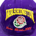 Vintage Washington Huskies 2001 Rose Bowl SnapBack