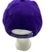 Vintage Washington Huskies 2001 Rose Bowl SnapBack