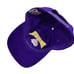 Vintage Washington Huskies 2001 Rose Bowl SnapBack