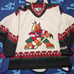 Used Vintage Phoenix Coyotes White CCM Kachina Jersey, Men's Small