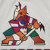 Used Vintage Phoenix Coyotes White CCM Kachina Jersey, Men's Small