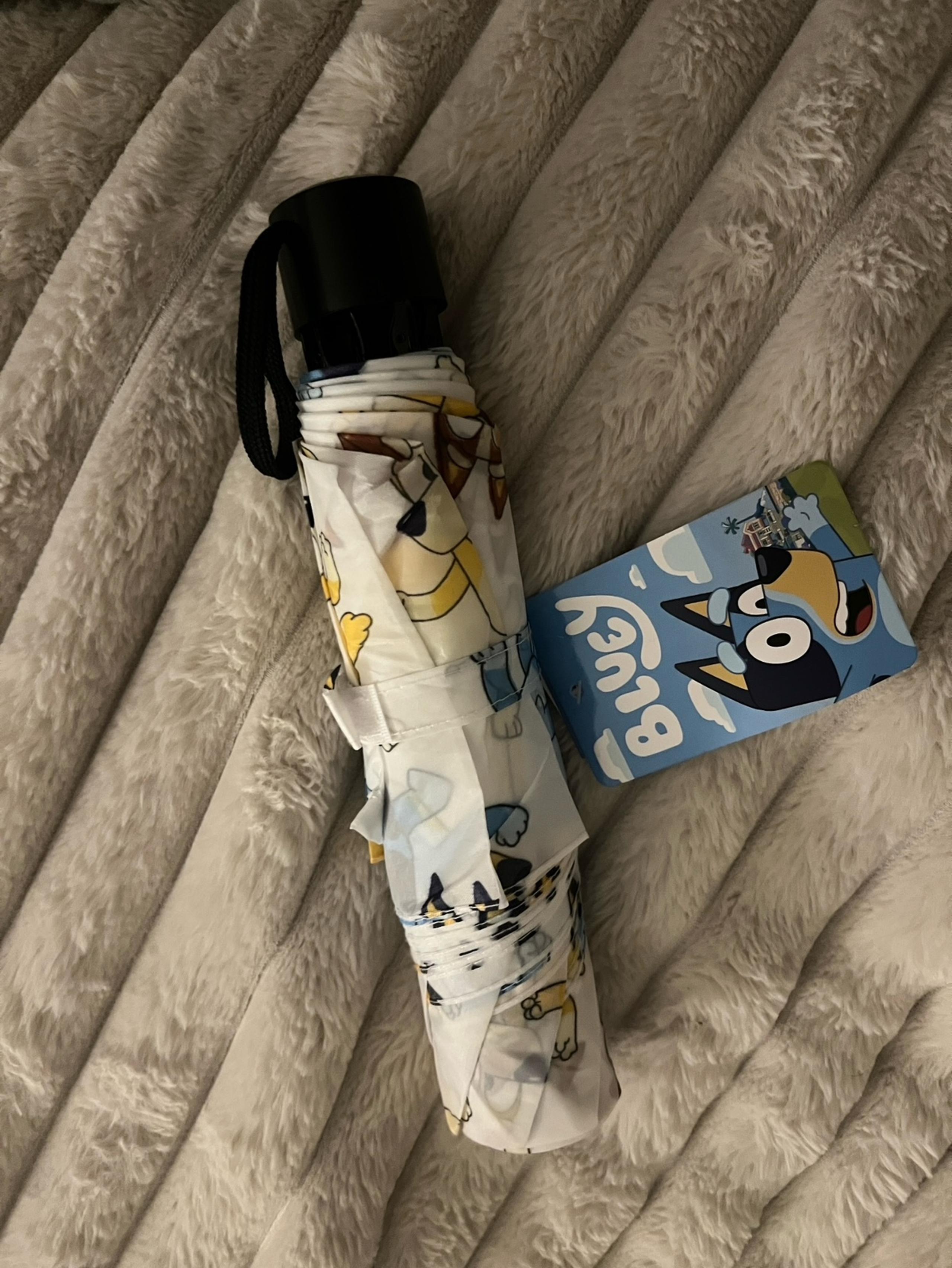 Bluey umbrella