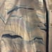 Erin Condren NWT printed hoodie jacket size XXL