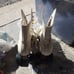 VINTAGE FEMALE ROLLER SKATES NRMINT CONDITION