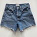 Agolde Parker Long shorts