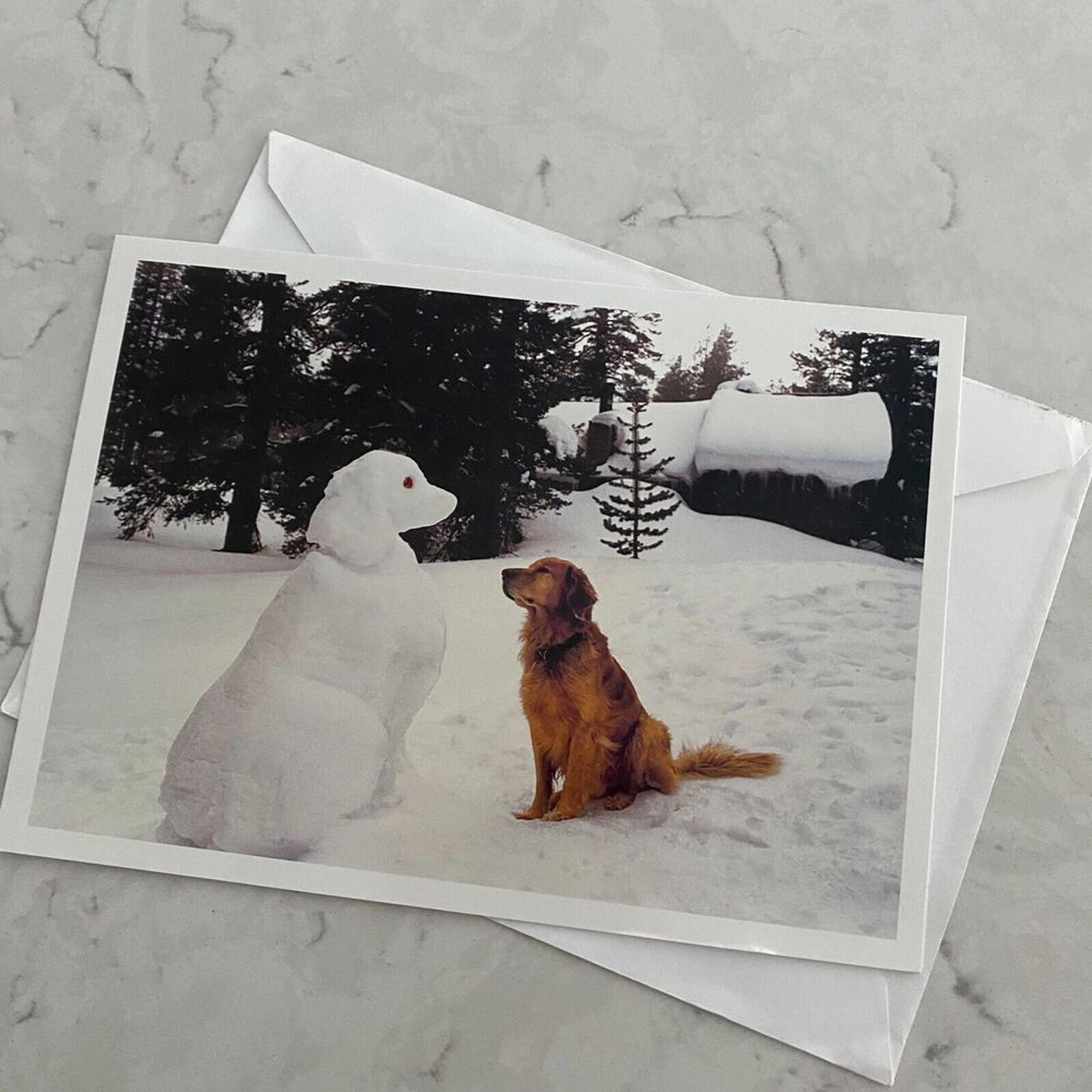 Happy Holiday Greeting Card Dog and Snow Dog Snowy Winter Wonderland Palm Press