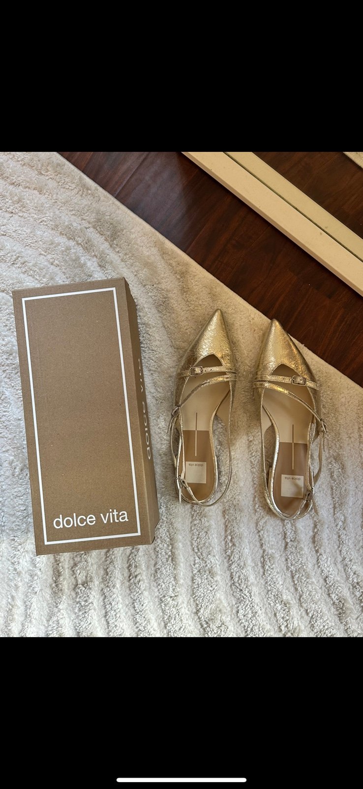 Dolce Vita Pamla Platinum Pointed Toe Flats