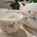 Teapot and matching cups set, Beautiful cherry Blossoms design. Japanese craftsm
